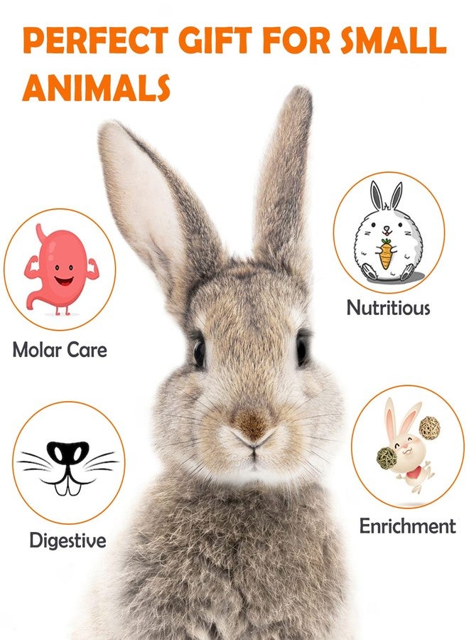 Sofier 12Pcs Timothy Hay Treats Rabbit Toys Bunny Toys Guinea Pig Natural Chews for Teeth Handmade Rabbit Chews and Treats Chinchilla Rat Hamster Gerbil - Image 4